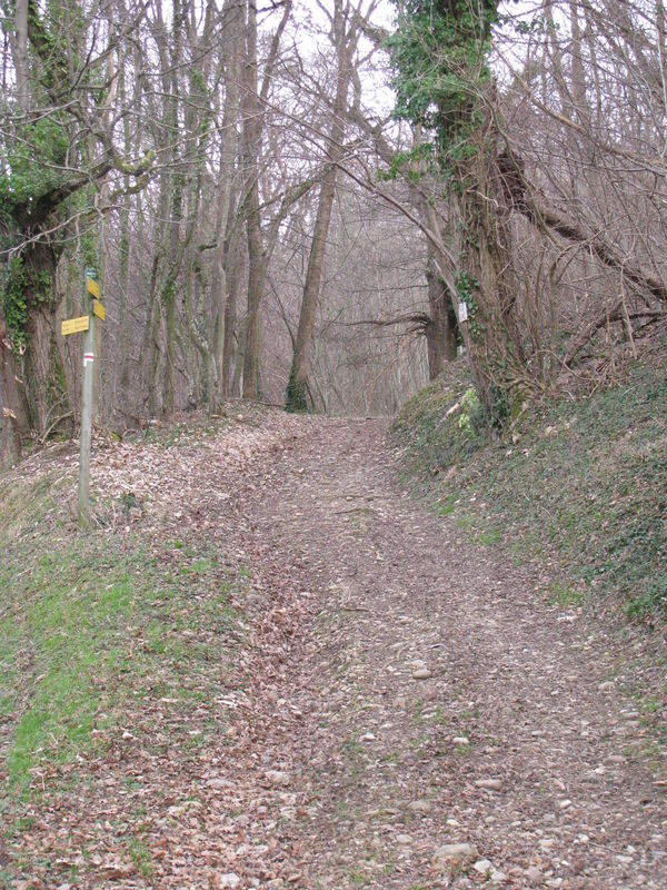 GR 65 chemin de St Jaques de Compostelle GR 65 chemin de St Jaques de Compostelle