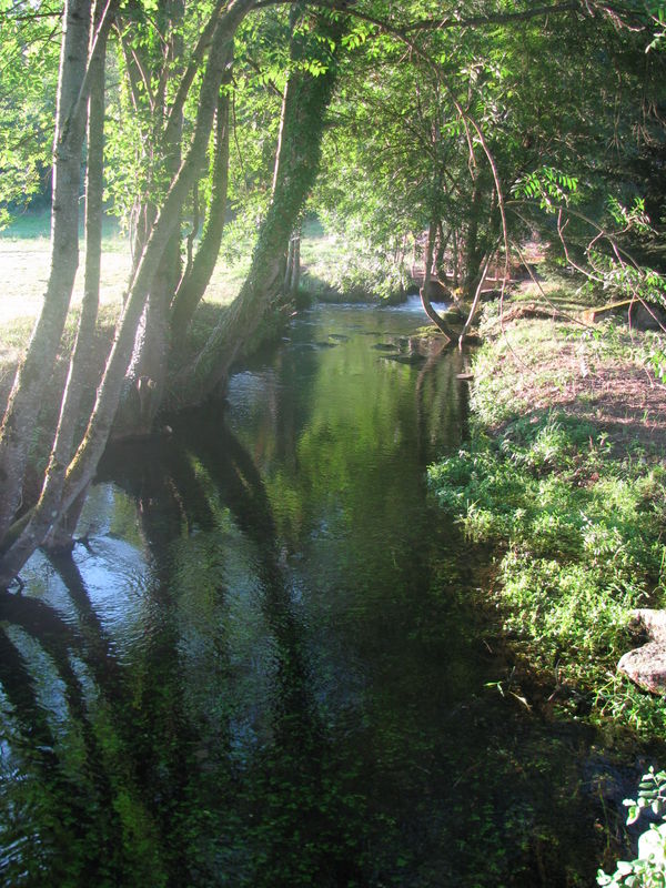 l'arri&egrave;re du gite (isere)