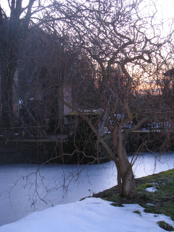 beauté hivernale au moulin beauté hivernale au moulin