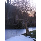 beauté hivernale au moulin