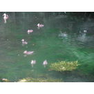 promenade en famille sur le canal du moulin