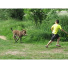 Loic et Antigone font la course