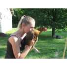 soin des petites poules