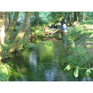 fraicheur sous le hamac