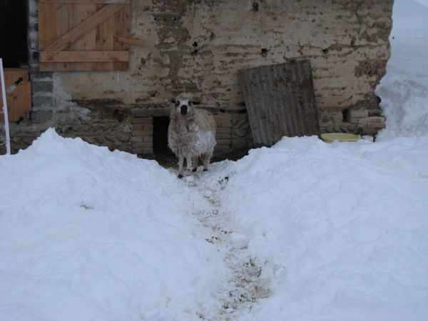 C&eacute;r&egrave;s devant sa petite maison