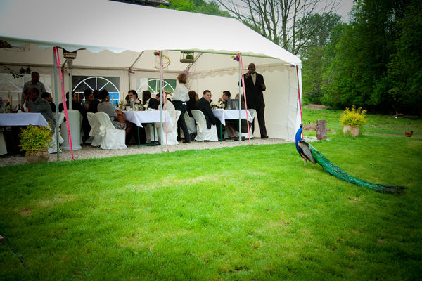 gite mariage campagne