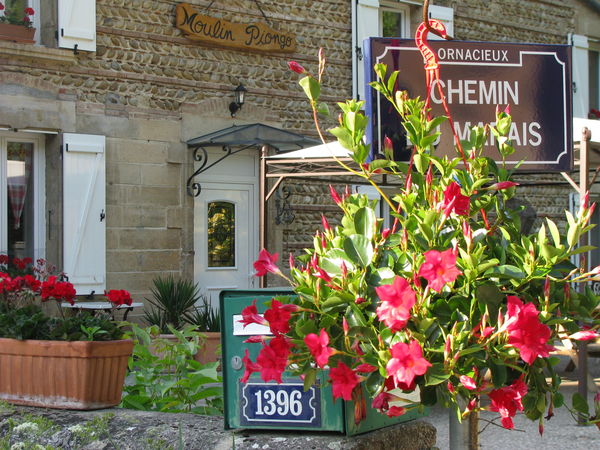 bienvenue au moulin PIongo