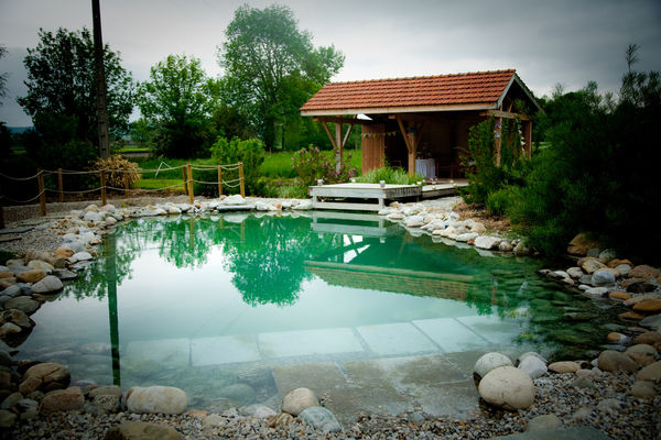la piscine bio - gite grande capacité