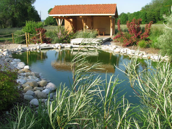 le pool house du bassin de baignade (gite rhone alpes) le pool house du bassin de baignade (gite rhone alpes)