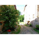 chemin du moulin
