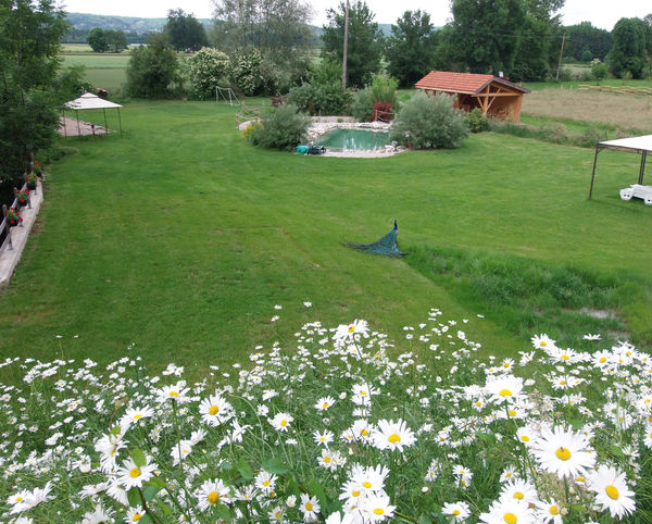 le parc de la piscine biologique (gîte en Isère) le parc de la piscine biologique (gîte en Isère)