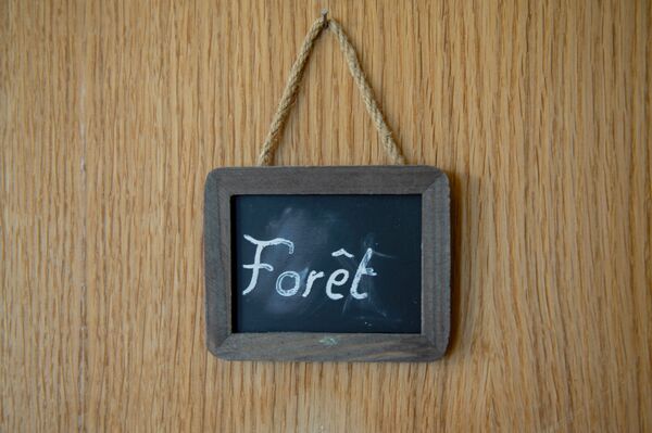 chambre "Forêt" gite séminaire chambre "Forêt" gite séminaire