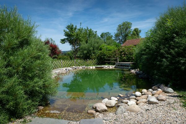 piscine biologique du moulin piongo en isère piscine biologique du moulin piongo en isère
