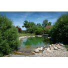 piscine biologique du moulin piongo en is&egrave;re