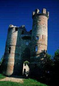 Le château de Bressieux à Bressieux (à 10km)