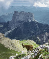 Parc naturel régional du Vercors (à 67km)